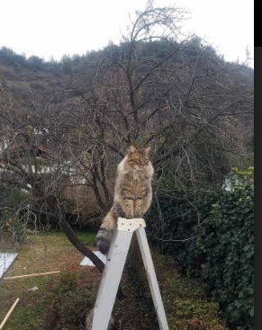 _极地冰川潜水：探索深海未知的极限奇遇_，极地冰川在哪里