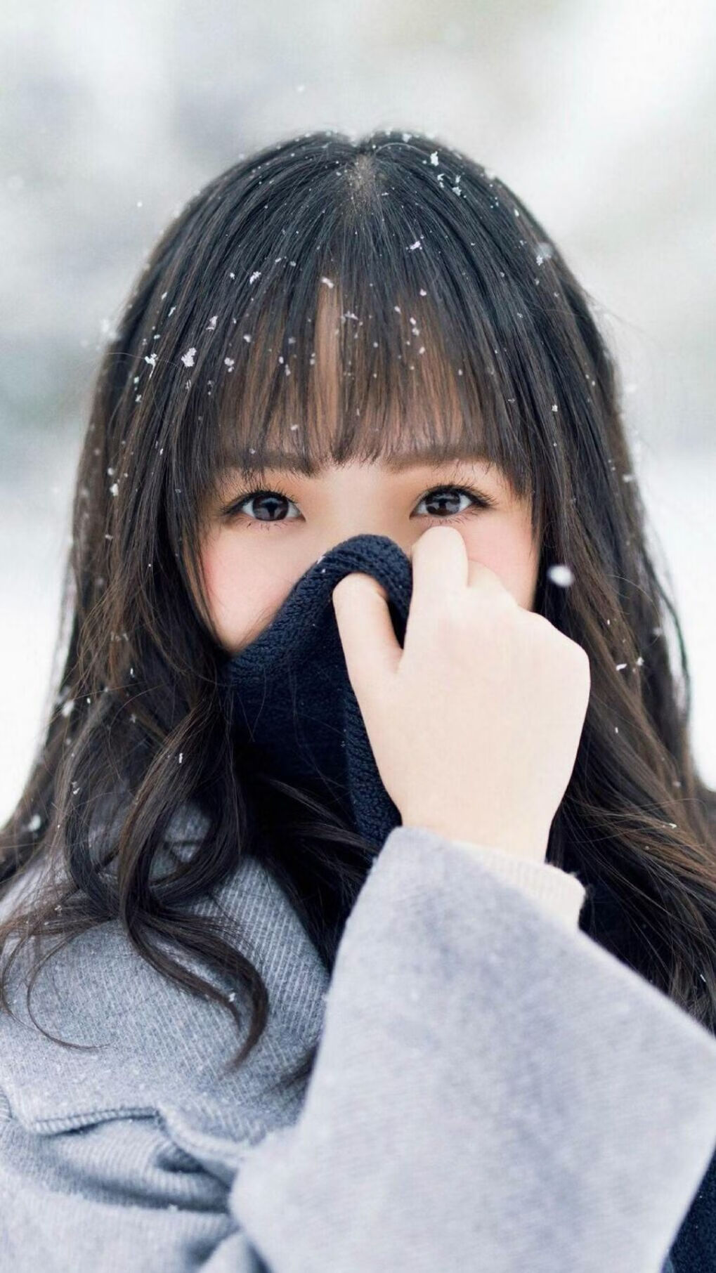 开云·体育官方网站入口-_极地冰川登山：攀越天际线的壮丽旅程_，极地冰川在哪里