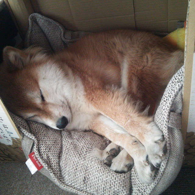 _骑士队士气高涨，团队配合逐渐磨合_，骑士队训练