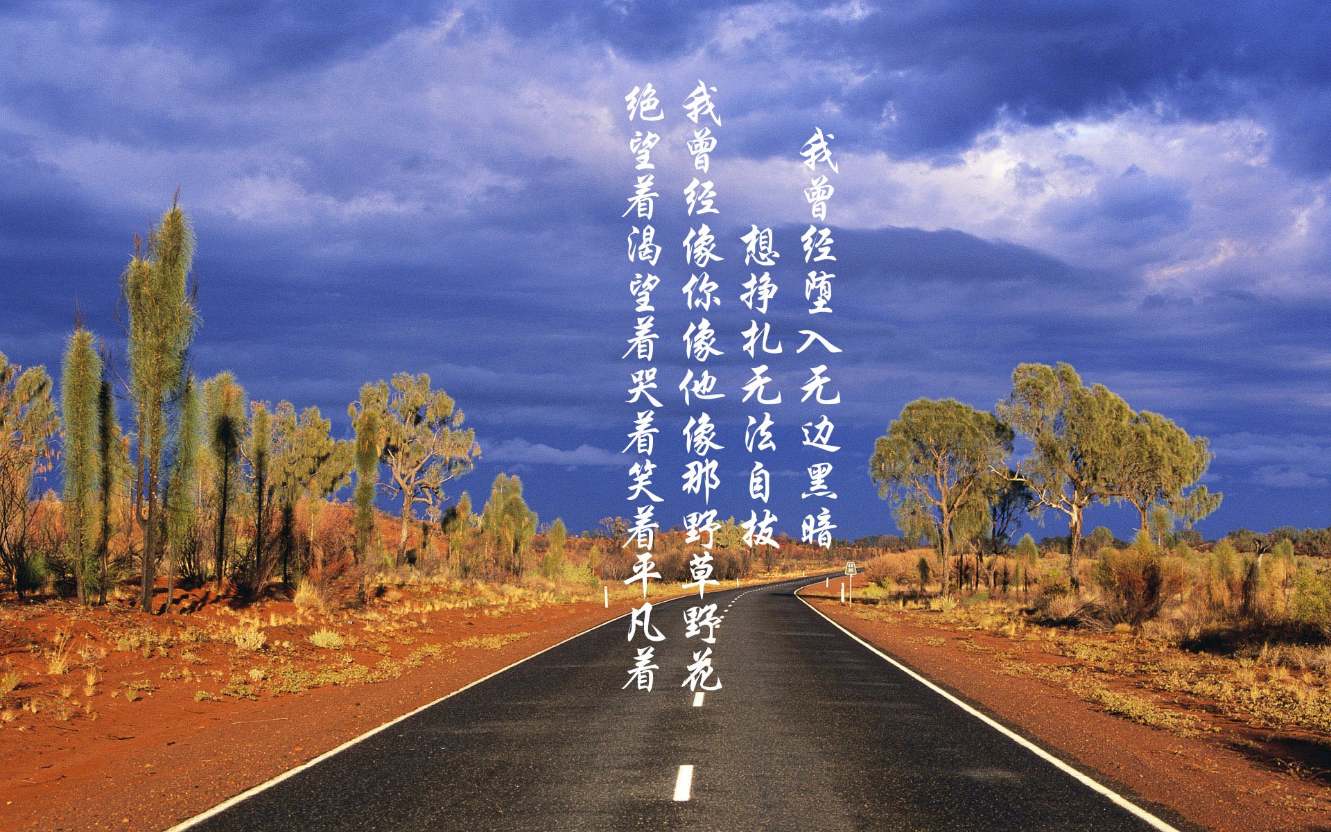 中国选手在国际台球大赛中夺冠 创历史新高,中国台球世界冠军有哪些人