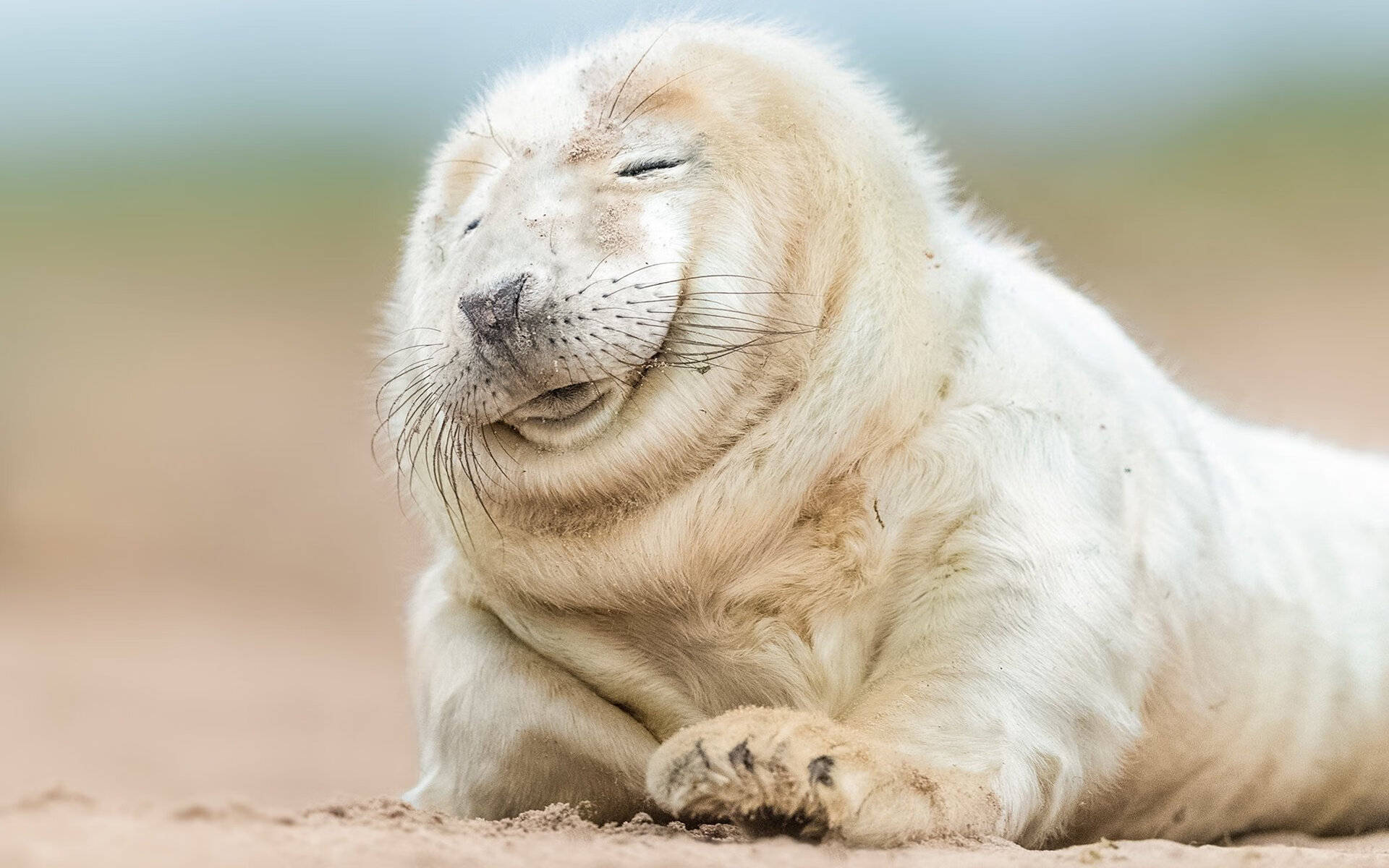 史上最“疯狂”的快攻，速度与技巧的巅峰体验，快攻有哪几种