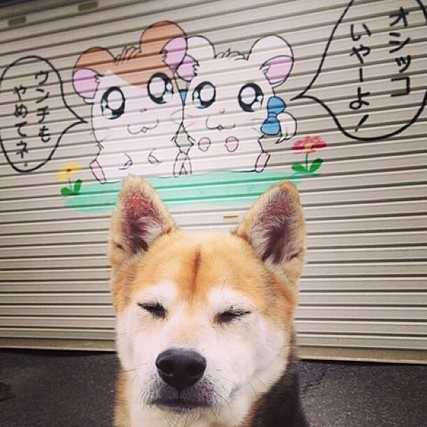 大型山地骑行穿越，挑战自然野性之美，骑山地车越野