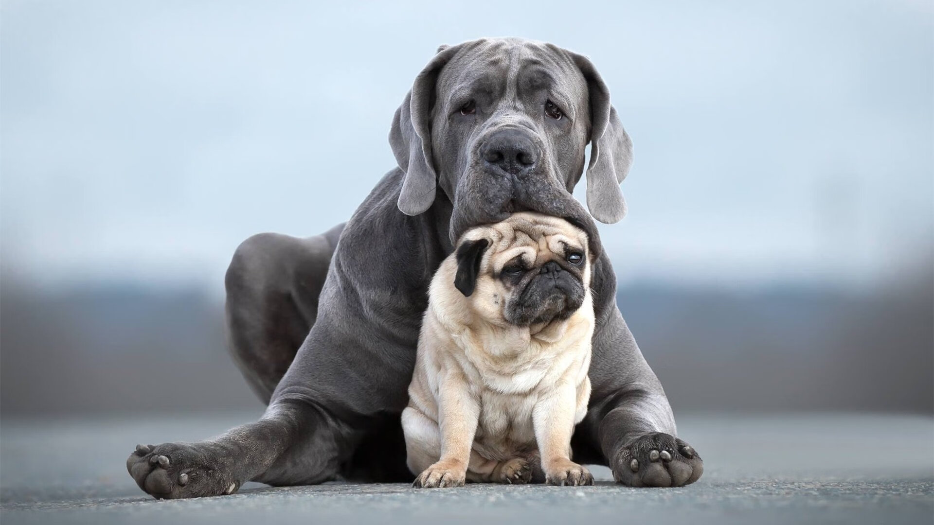 经典赛事回顾：那些难忘的WRC瞬间，wrc赛道