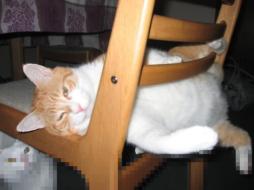 鲁迪·戈贝尔(Rudy Gobert)第四次当选NBA最佳防守球员,2019-2020年nba最佳防守球员