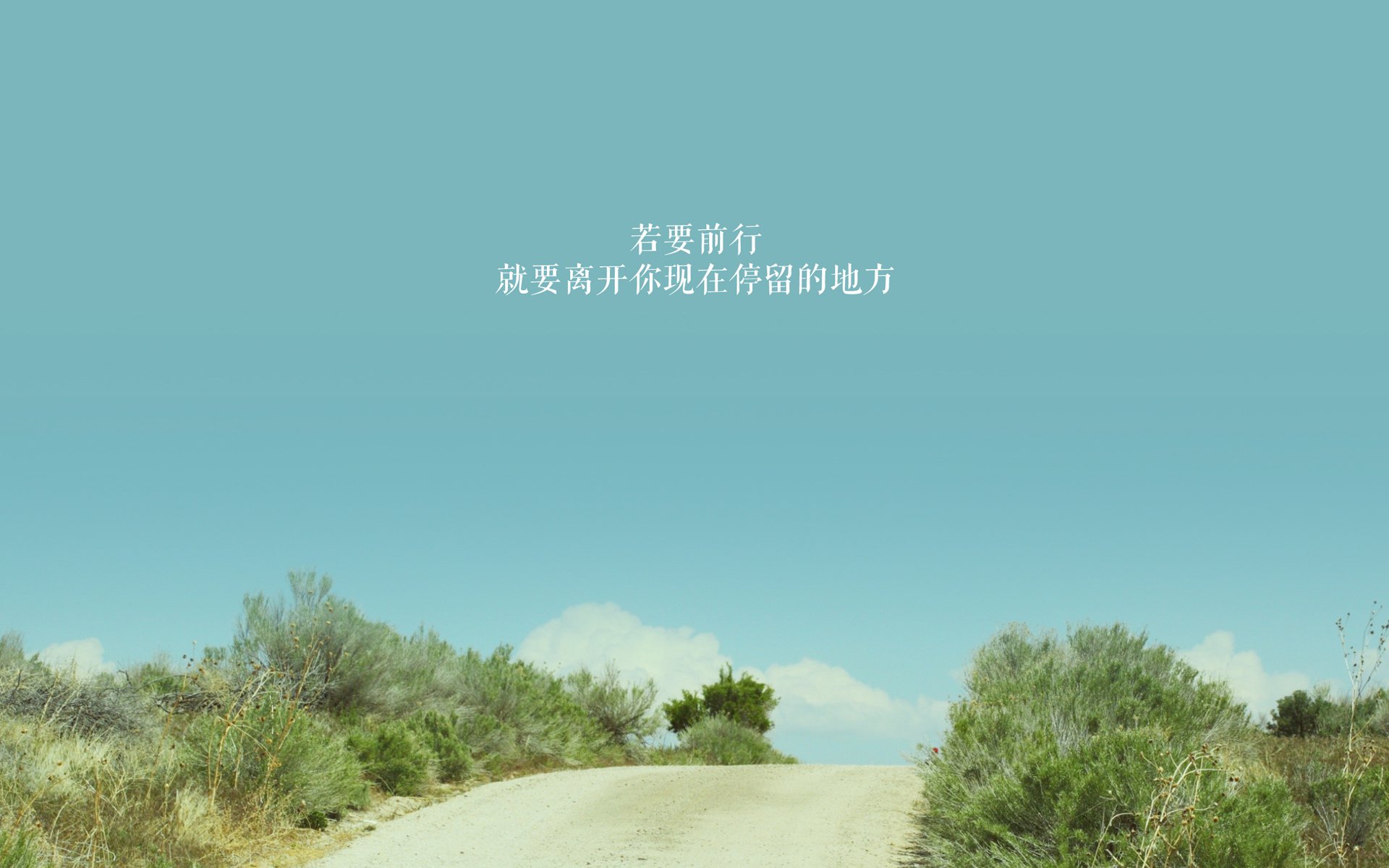 中锋是否将回归现代足球主角地位,足球比赛中锋