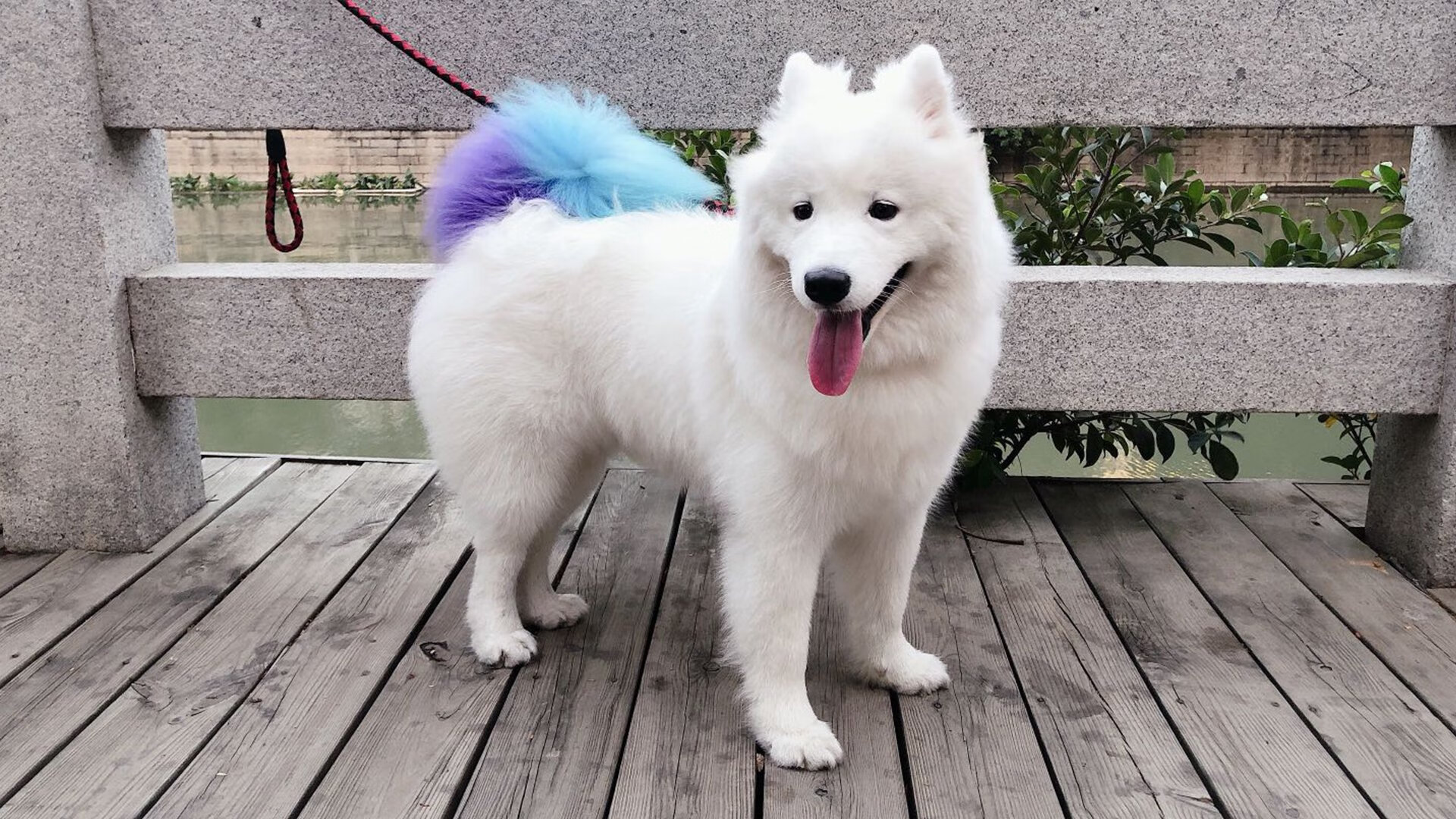 墨尔本联赛季连胜提升信心，墨尔本超级联赛