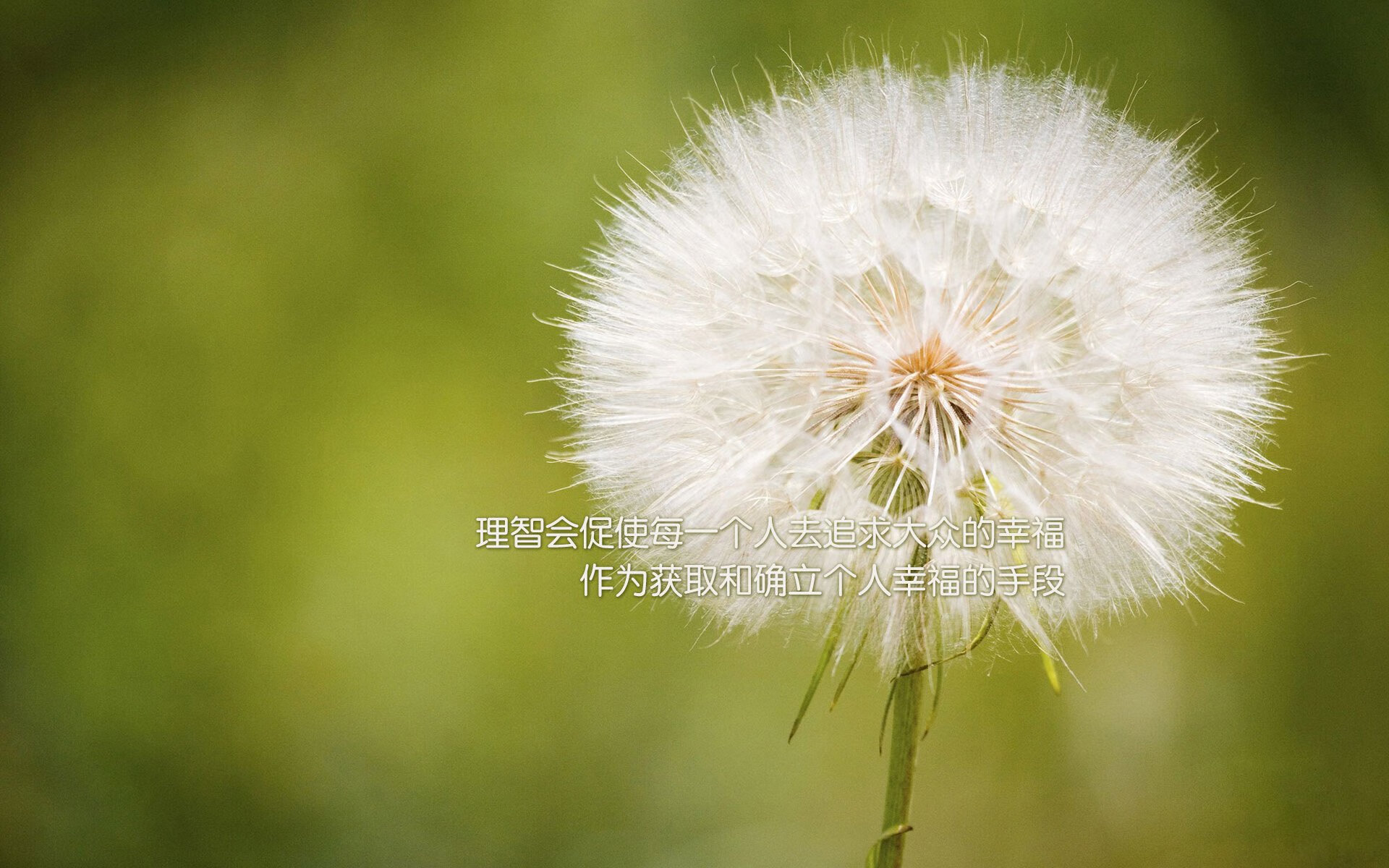 开云网站-意大利足球俱乐部推出新赛季主场球衣设计，意大利足球俱乐部推出新赛季主场球衣设计图