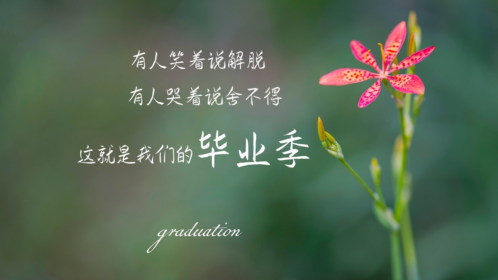 蓝月亮客场负于南安普顿，状态堪忧，蓝月亮(中国)有限公司