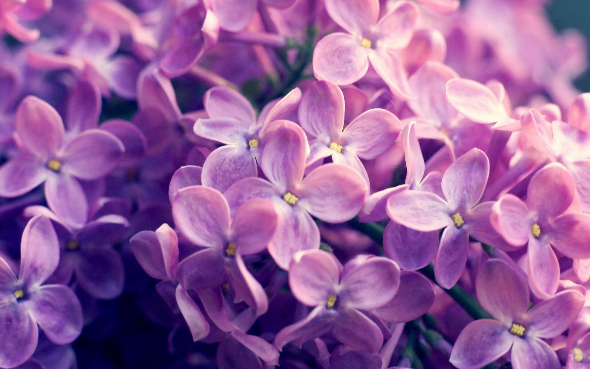 开云平台-体育赛事品牌建设规划方案，如何打造体育赛事品牌价值