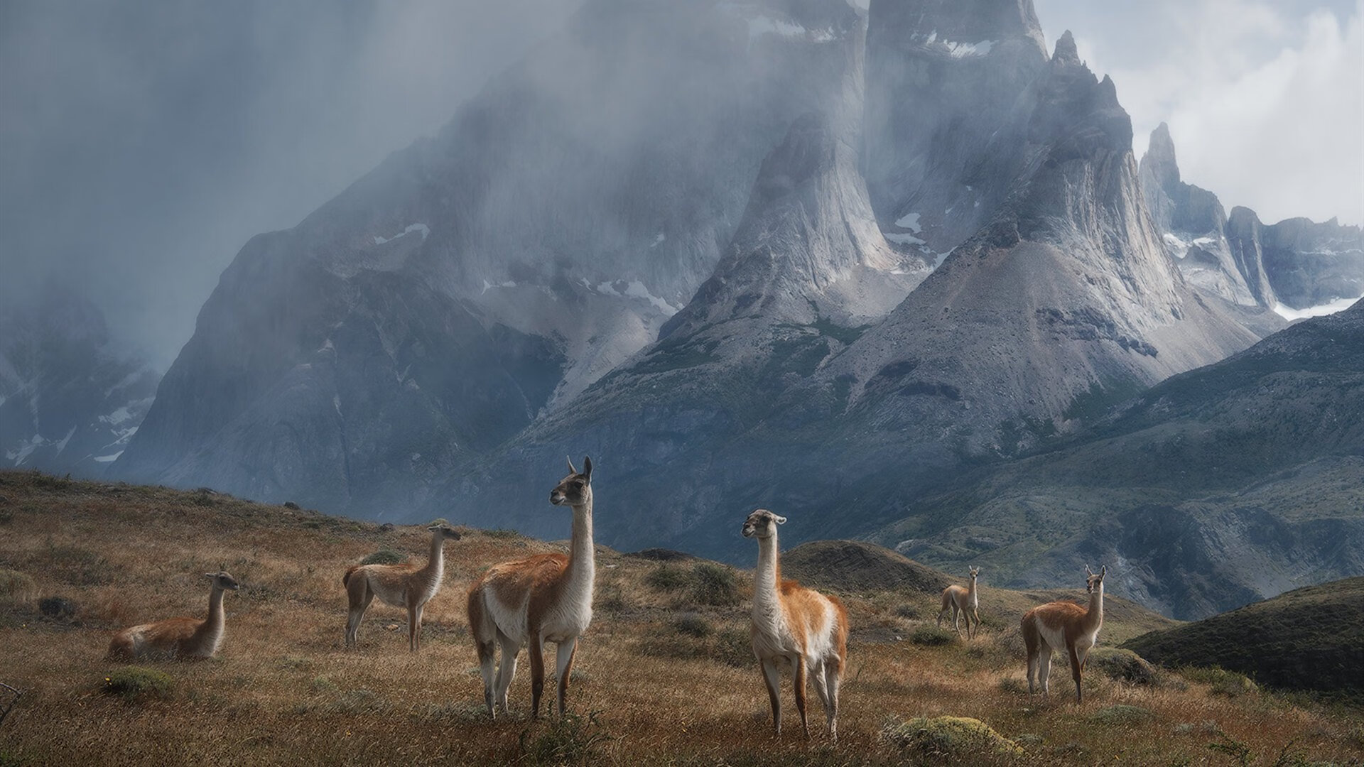 换帅潮:战术风云变幻背后的幕后故事,换帅是什么意思