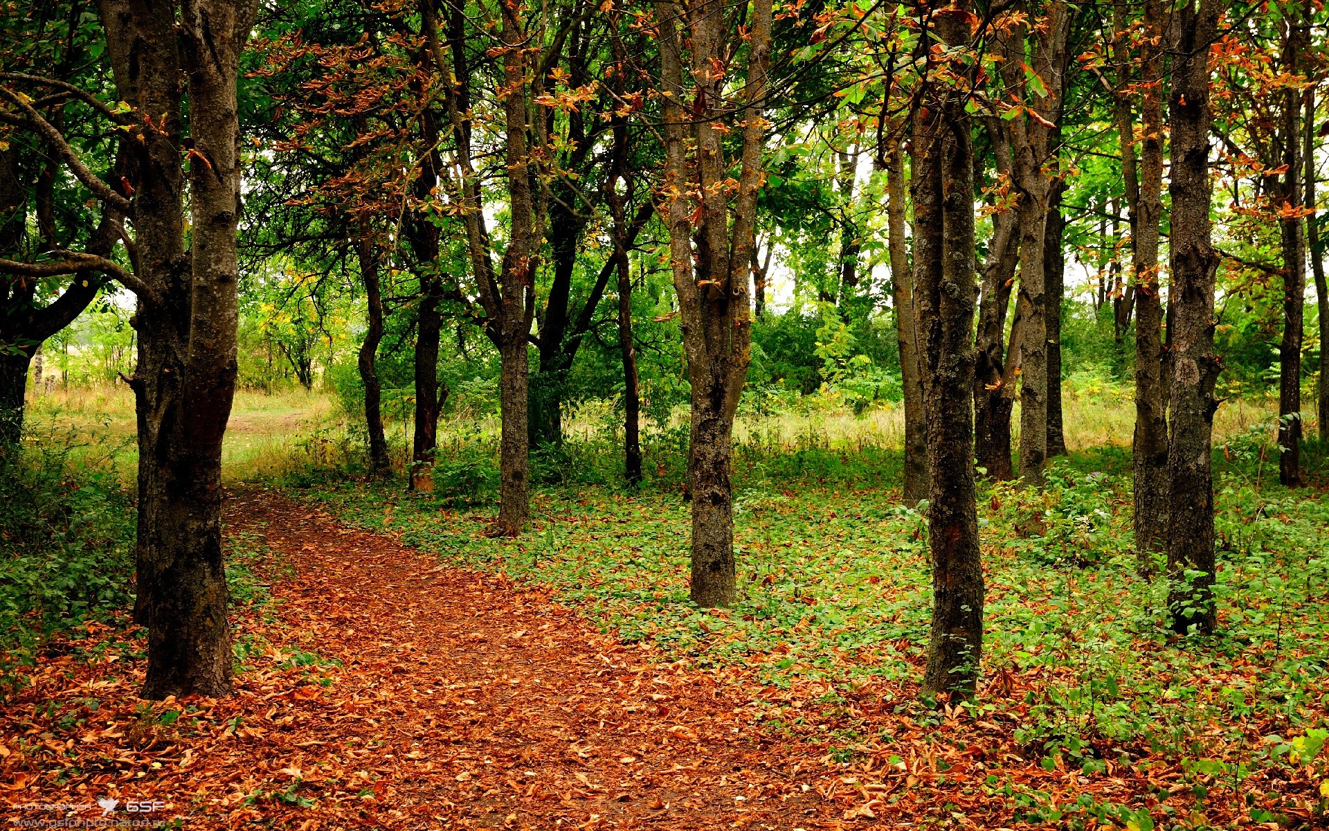 校园体育设施智慧运维系统建设方案，校园智慧体育云平台移动端