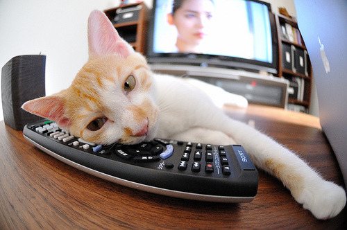 篮球运动员动作捕捉与技术反馈应用，篮球专业技术动作