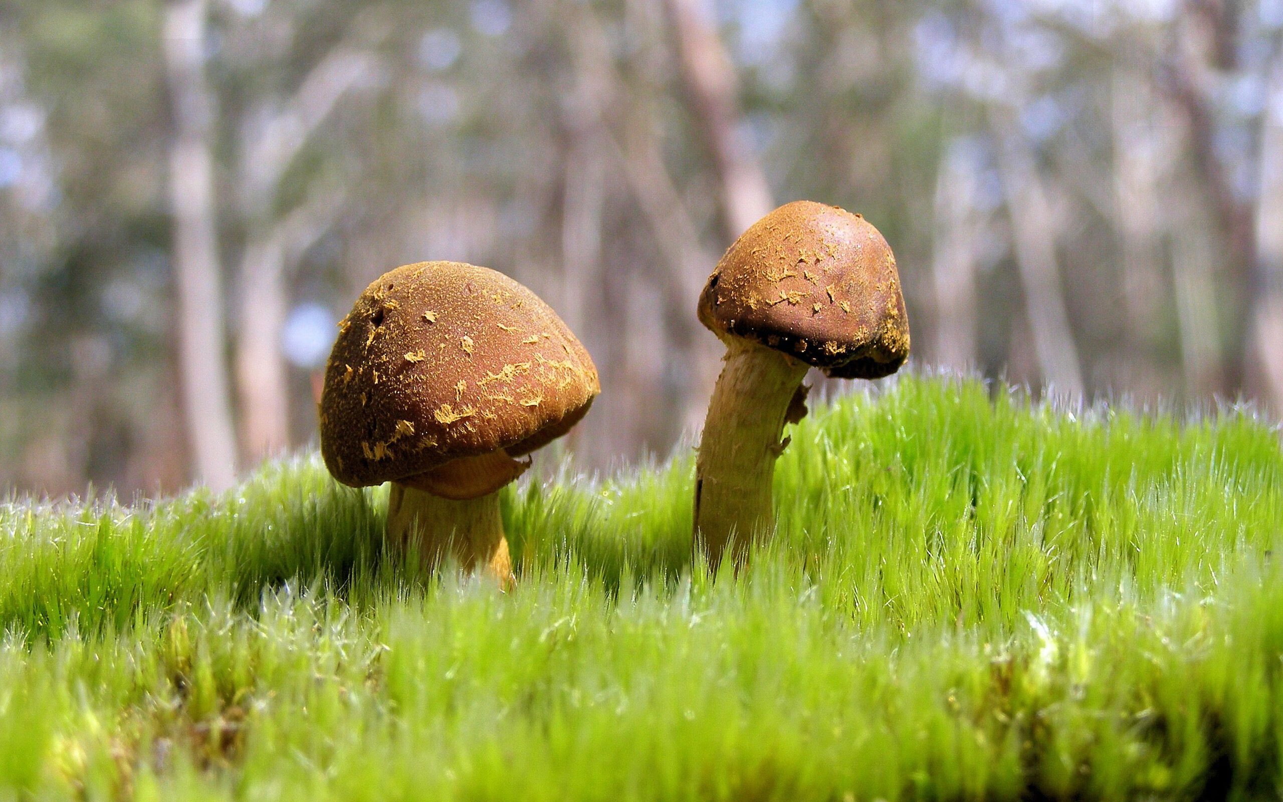 “沙滩合球成沙滩赛场新亮点,天府新区期待惊艳”