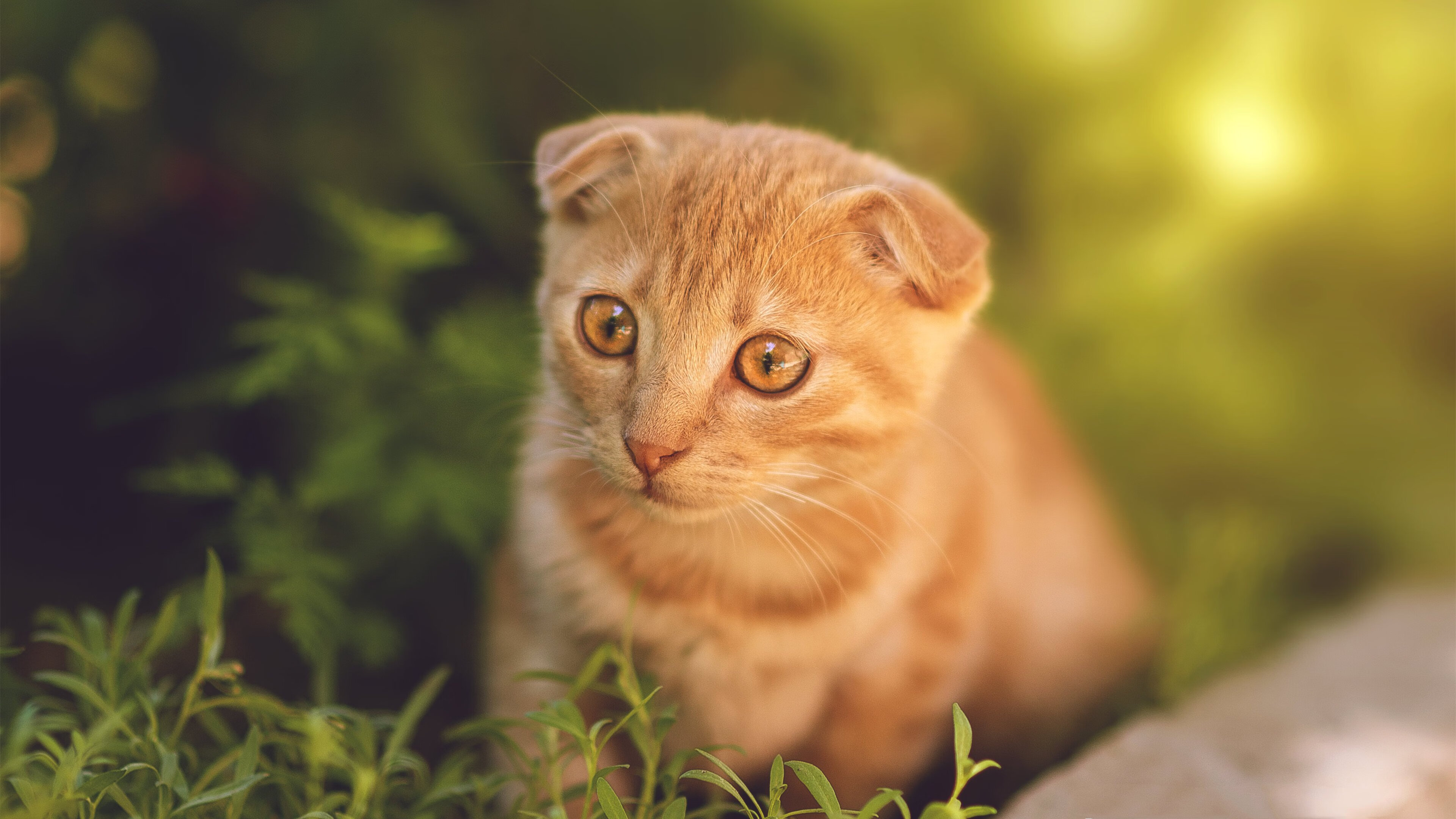 中超联赛中国女足晋级 球员状态稳定,中超女足比赛