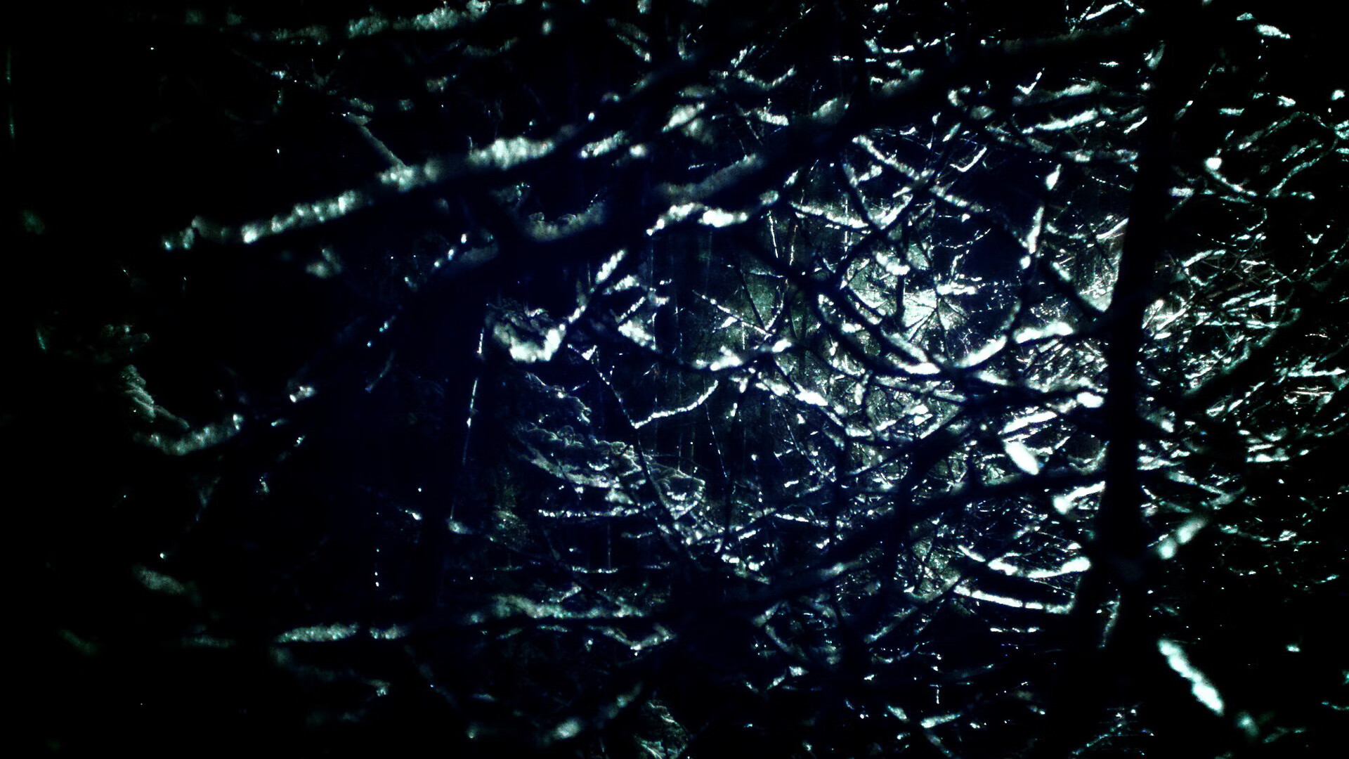 开云APP-印度赛制揭秘：如何提升赛事观赏性与竞技性，印度举办过什么国际赛事