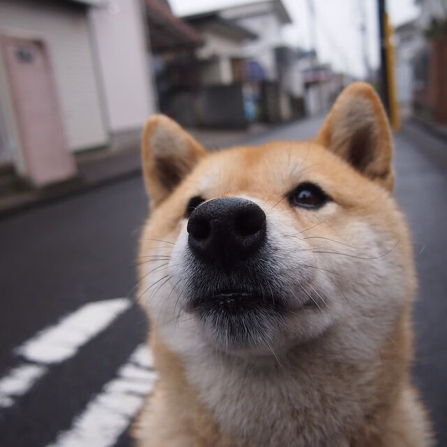 男泳队后备力量崛起，男泳队后备力量崛起了吗
