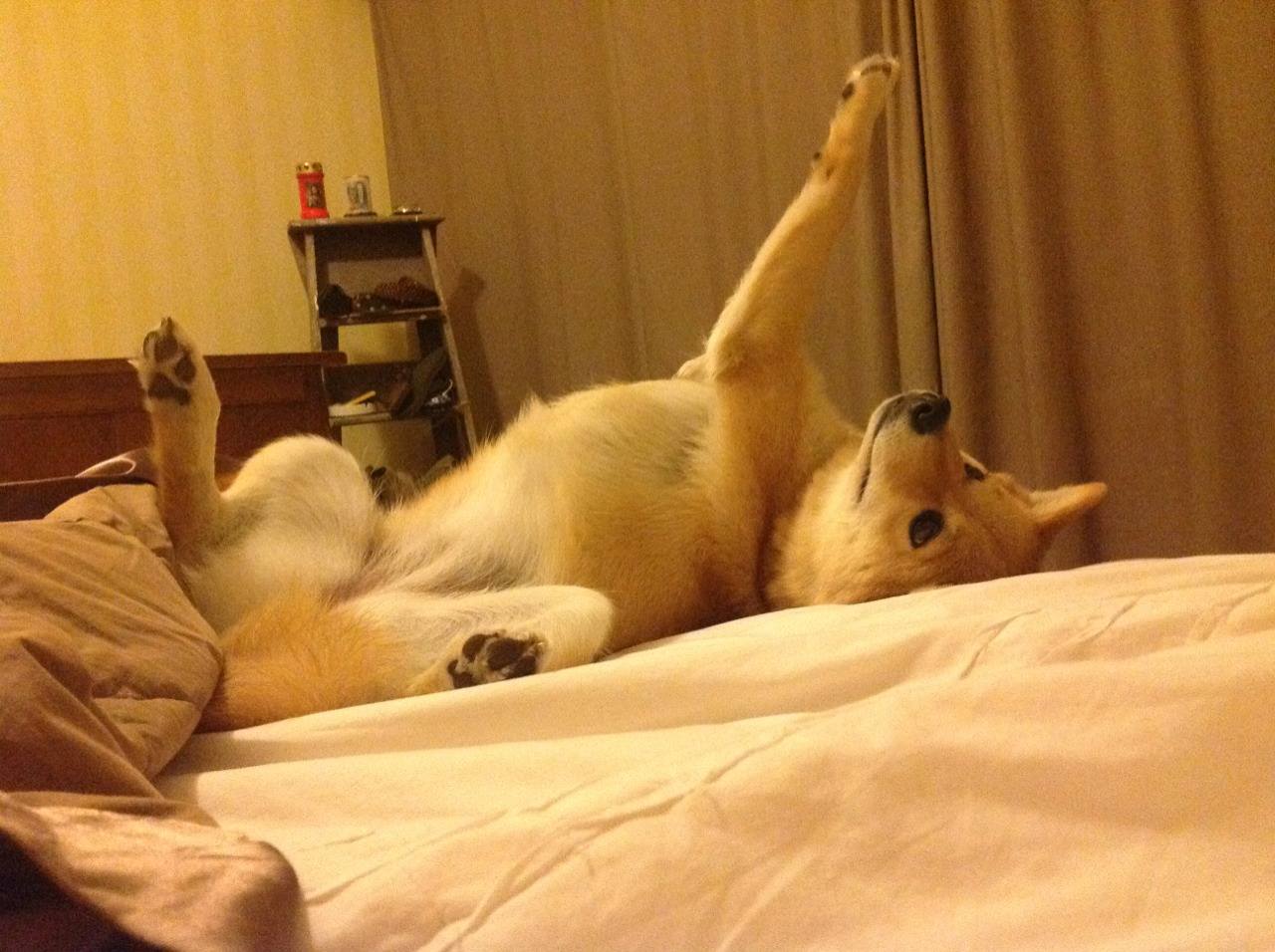 进攻主导权是否逐渐由传统中场向影锋倾斜，进攻性中场