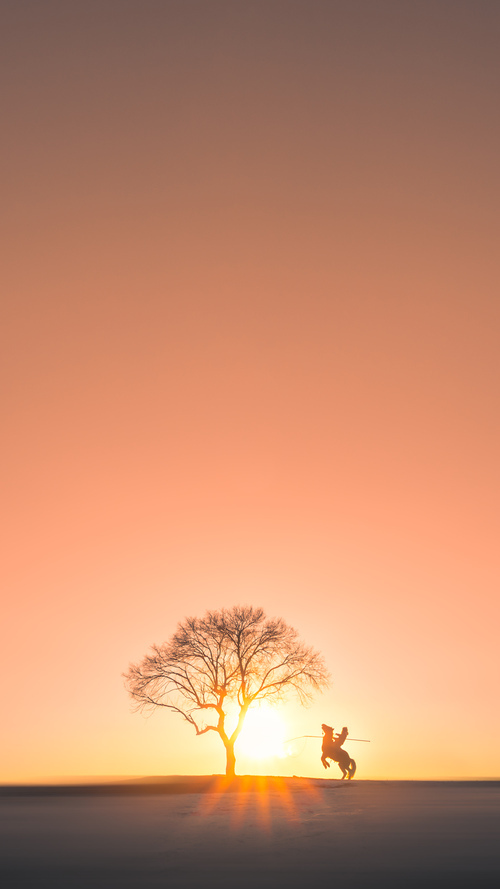 维尔·冯·威克:南非队锋线的猛将,不断给对方防线带来威胁,维尔纳冯西门子简介