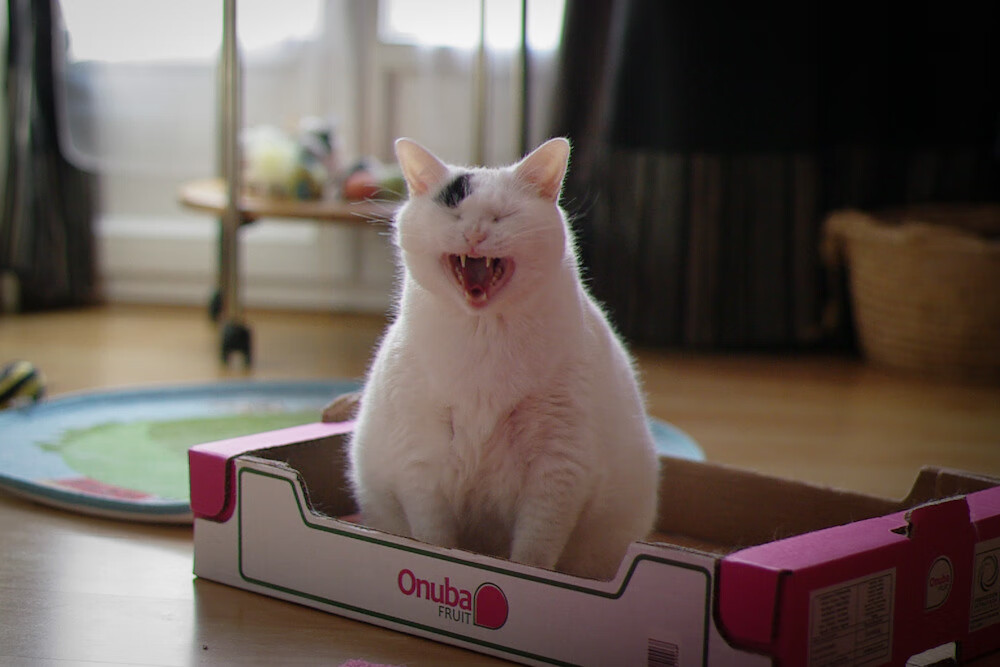 开云网站-西甲荣耀时刻：闪耀天王，攻城略地！，闪耀vs