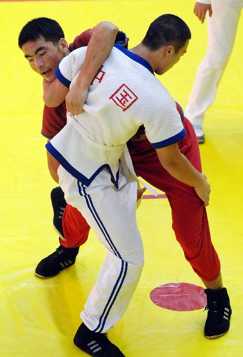 包含开云体育:影响运动员表现的生理因素探讨的词条